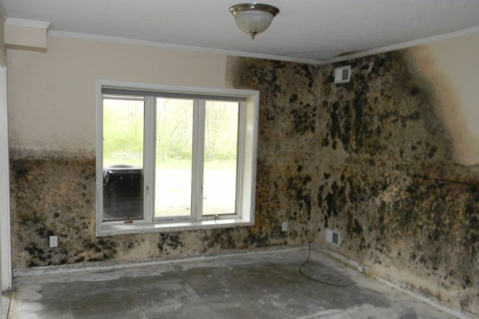 Mold-damage-room-fl